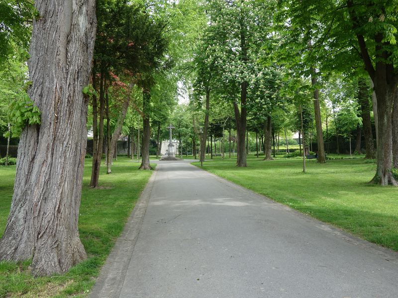 Hidden Gems Run — shaded tree-lined avenue at the old Propsteimatte cemetery in Lucerne
